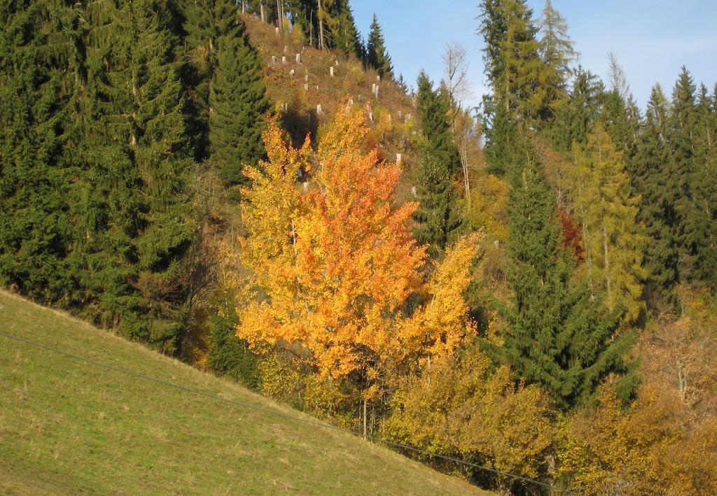 Haus Dekorso Apartment Dorfgastein Luaran gambar